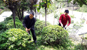 ��ˮ��ɭ�ָ������̴ٽ���ľ������ͼ��