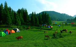 ʯ����ˮ��԰