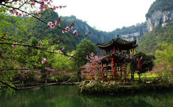 �����һ�Դ